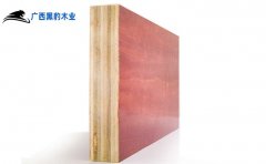 广西10层桉木苯酚面施工用木模板