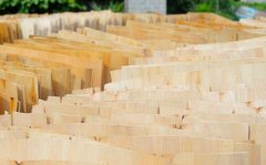 黑豹木业生产木模板的原料晒地