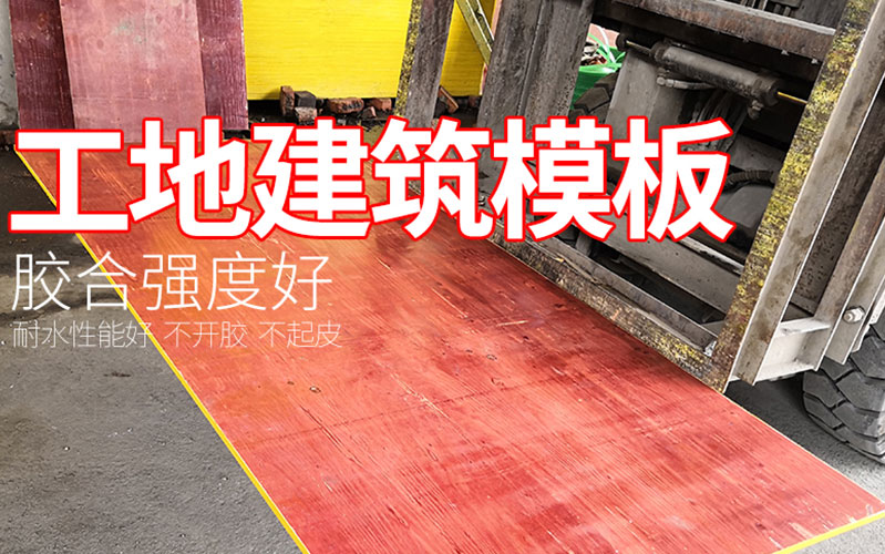 广西桉木建筑模板